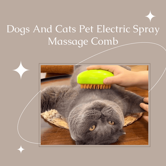 Dogs And Cats Pet Electric Spray Massage Comb Sale